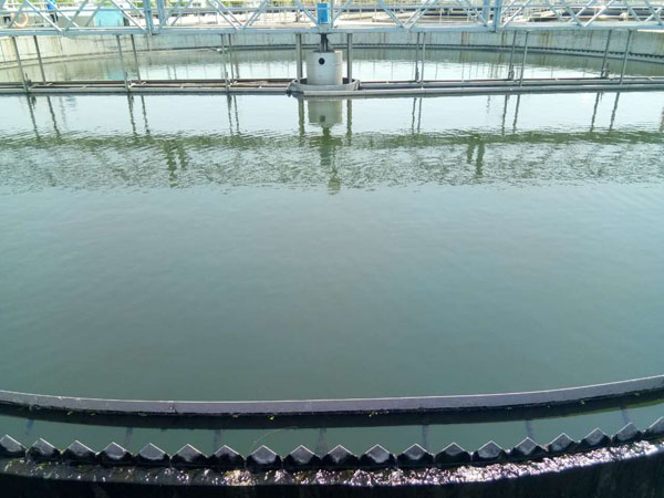 合作市聚丙稀銑胺造紙廠污水處理現(xiàn)場